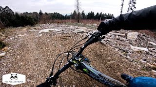 Scott E-Spark is Fun AF! 4K