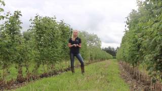 Farmers Apprentice 2014 Application