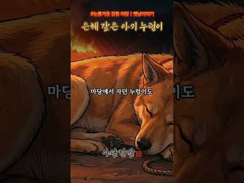 버려진 아기 누렁이를 구하자 노인에게 벌어진 기적같은 일 | 야담 | 감동이야기 | 쇼츠