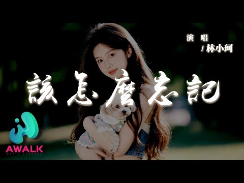 林小珂 - 該怎麼忘記『該怎麼忘記你曾承諾過的舊誓，該怎麼拔去心頭的刺。』【動態歌詞 | Pinyin Lyrics】【AWALK MUSIC】