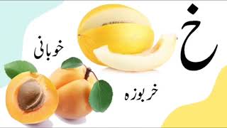 Introduction of Khay by Aqsa khan