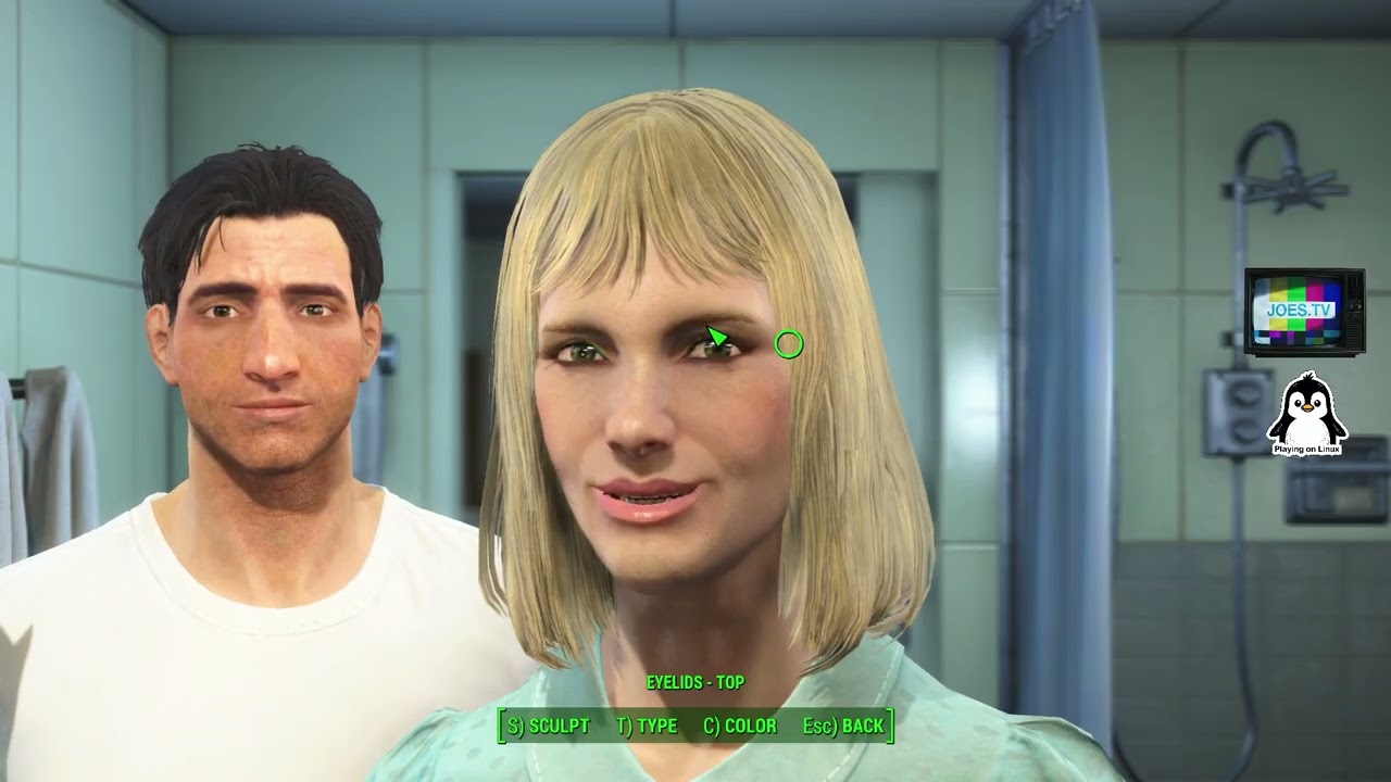 Linux Gaming - Fallout 4 Episode 1, Capture Test and Rambling