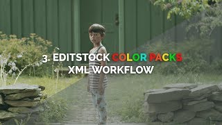 3 EditStock ColorPack Resolve XML workflow