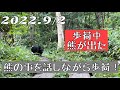 尾瀬で歩荷中に熊が出たので、熊の事を話しながら歩荷!
