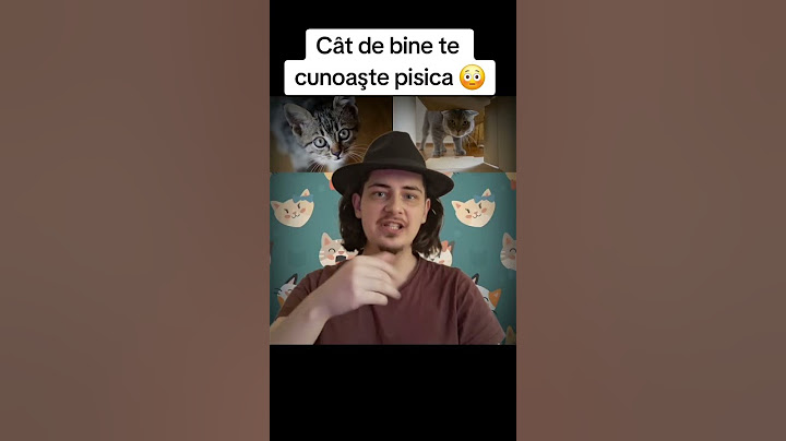 CAT DE BINE TE CUNOAŞTE PISICA😳