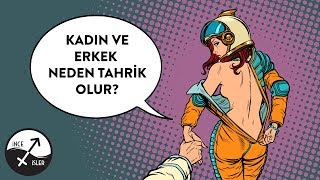 Kadin Ve Erkek Nasil Tahri̇k Olur?