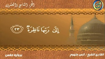 الشيخ انس جلهوم سورة القيامه