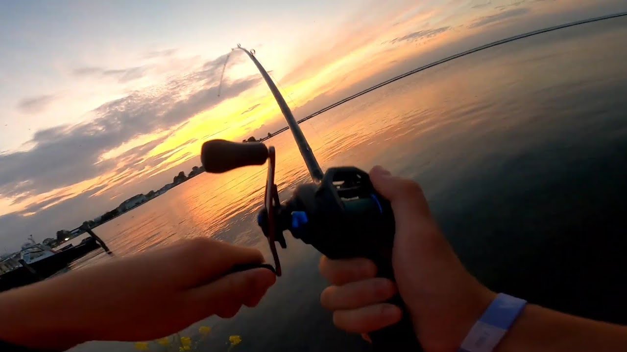 Summer Bass Fishing Harley Esigns DNR Launch