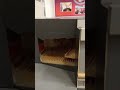 Мы с классом в музее МЧС