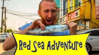 Red Sea Adventure WLM #7