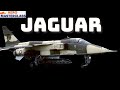 Jaguar  polyvalent et efficace