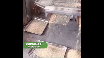 Industrial Peanut Chopper Machine – Precision, Speed & Versatility in Food Processing #shortsvideo