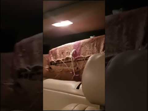 الخوف لا يمنع الموت ولكنه يمنع الحياة مساء النور