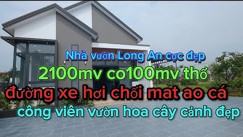 Tập 591: Nhà vườn cần đước Long An 2100 MV có 400 MV thổ cực đẹp giá cực tốt đường xe hơi 