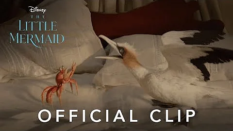 ‘The Scuttlebutt’ Official Clip - The Little Mermaid | SunnyTailsCrew