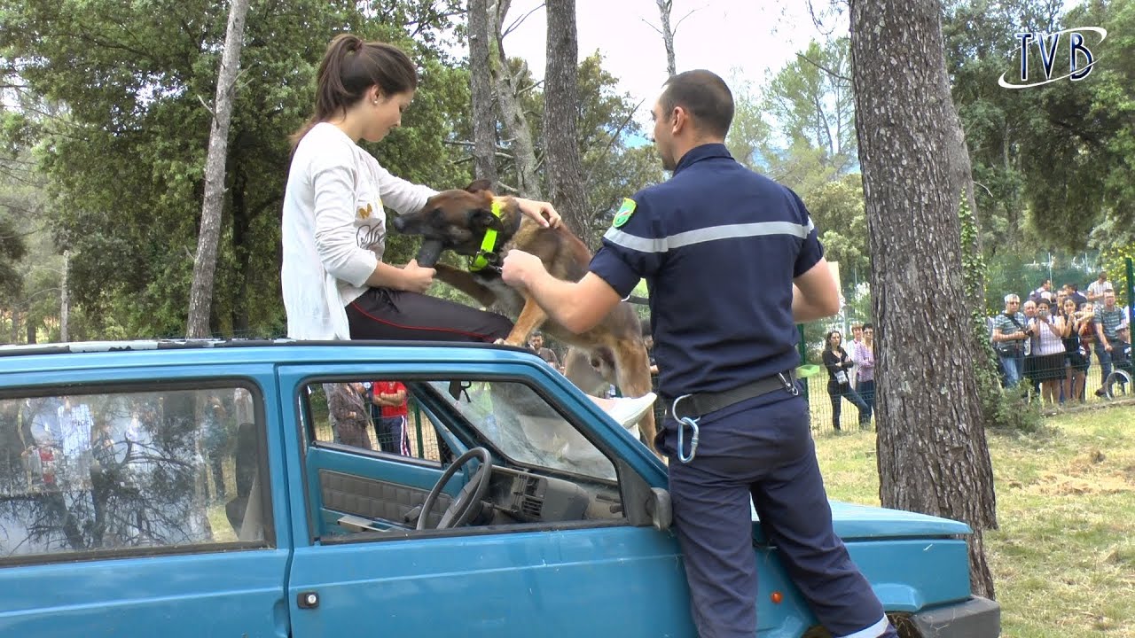 Peloton canin, recherche sauvetage UIISC7, Brignoles, Var
