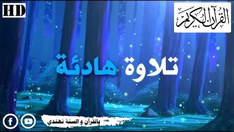راحة نفسية - تلاوة هادئة ما تيسر من سورة النحل - القارئ عبدالرحمن مسعد