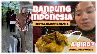 Let's Go to Bandung, Indonesia 🇮🇩 + Travel Requirements