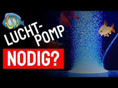 Luchtpomp in een AQUARIUM: NODIG of NIET? | Aquarium Sunshine Valley