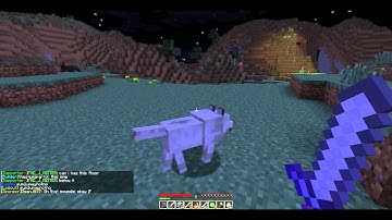 Tutorial - McMMO Skills - Taming