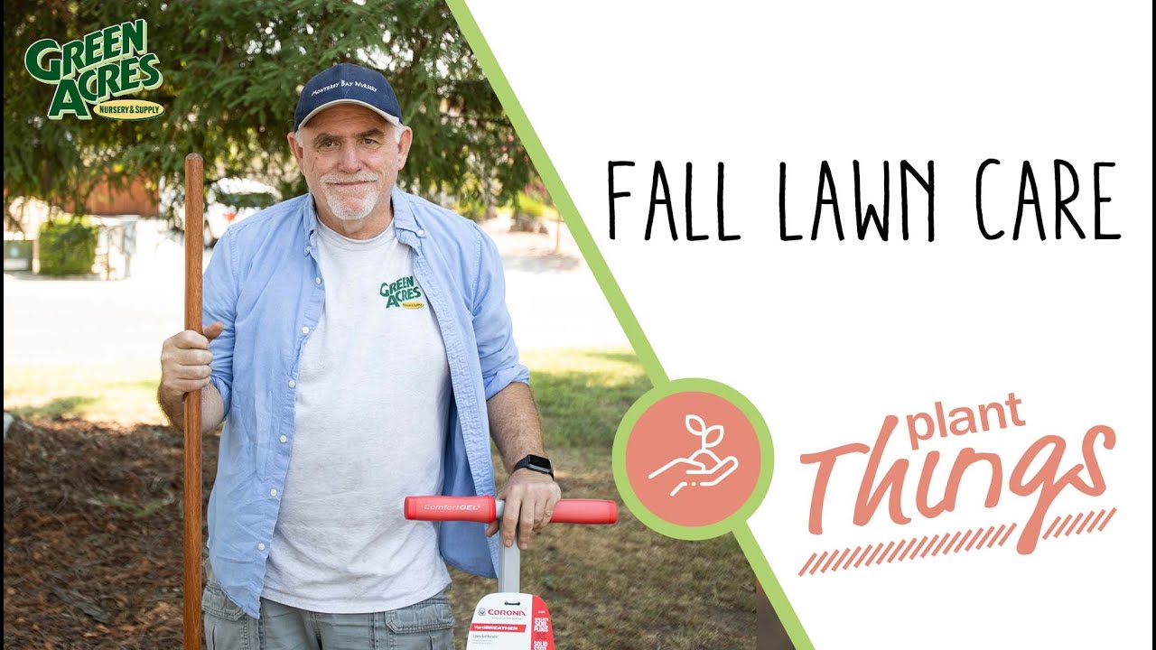 Fall Lawn Care (Tips for a better lawn!) - YouTube