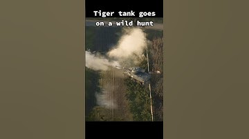 Tiger tank finds himself in trouble !