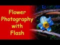 Flower Photography Tips & Tricks with Off-Camera Flash ep.74