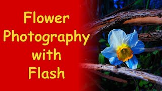 Flower Photography Tips & Tricks with Off-Camera Flash ep.74