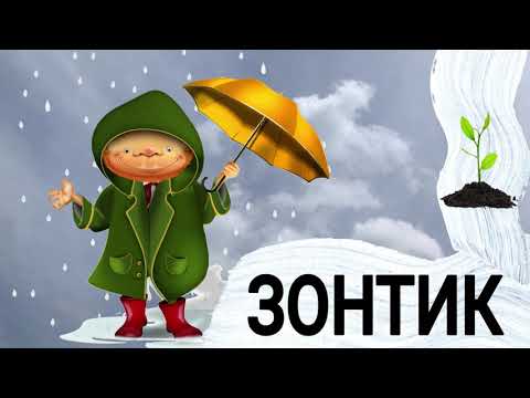 ЗОНТИК - Интересные