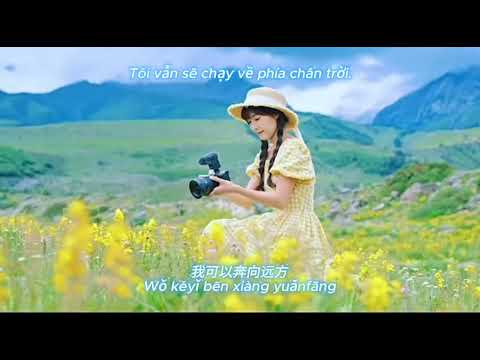 Chạy Về Phía Gió 【Run Wild】 向风而野 （中文版） #lyricsvideo #song  #lyrics  #music  #lyrics  #lyricsvideo