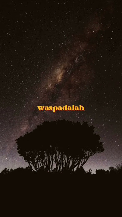 Story Wa | Iwan fals - Raya || story wa 30 detik Lirik