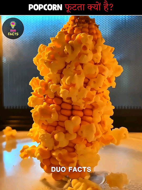 Why popcorn Kernels pop 🤨 shorts facts science YouTube