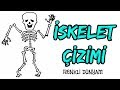 İskelet nasıl çizilir? İskelet Çizimi ( How to draw a skeleton)-Renkli Dünyam