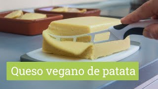 Mozzarella vegana de patata  Queso vegano fácil