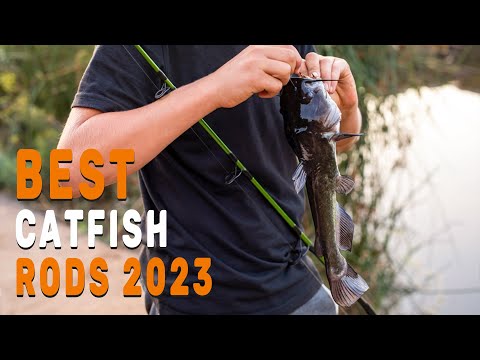 13 Best Catfish Rods - Flexible & Durable for Hassle-Free Fishing