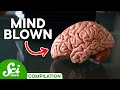 5 brain facts that will blow your mind