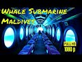 Whale Submarine Maldives || Maldives submarine tour || Price Location Review