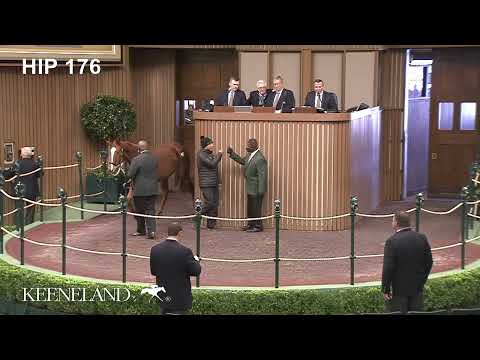 Justly sells for $410,000 at 2022 Keeneland January