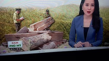 Bảo vệ rừng ở Quảng Trị