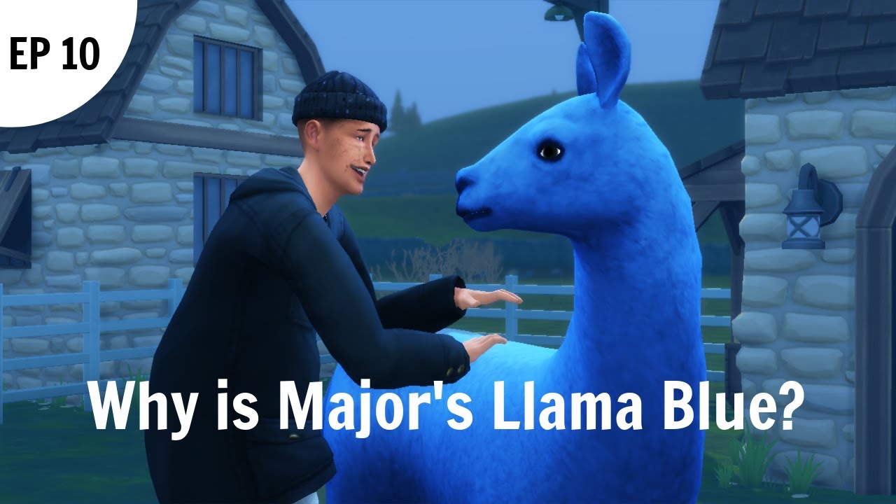 8. "Blue Llama Shampoo Ad" - wide 6