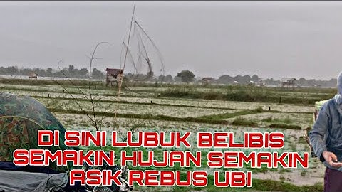 MIKAT BELIBIS HUJAN HUJANAN SAMBIL MAKAN UBI REBUS ENAK MUNGKIN 