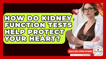 How Do Kidney Function Tests Help Protect Your Heart? - Cholesterol Support Network
