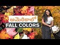 అమెరికాలో FALL COLORS - 2019 || CATSKILL Mountain || HUNTER Mountains