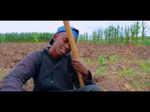 ENKITANG EJUKOTO AI NANU OFFICIAL MUSIC VIDEO SHADIE TJ