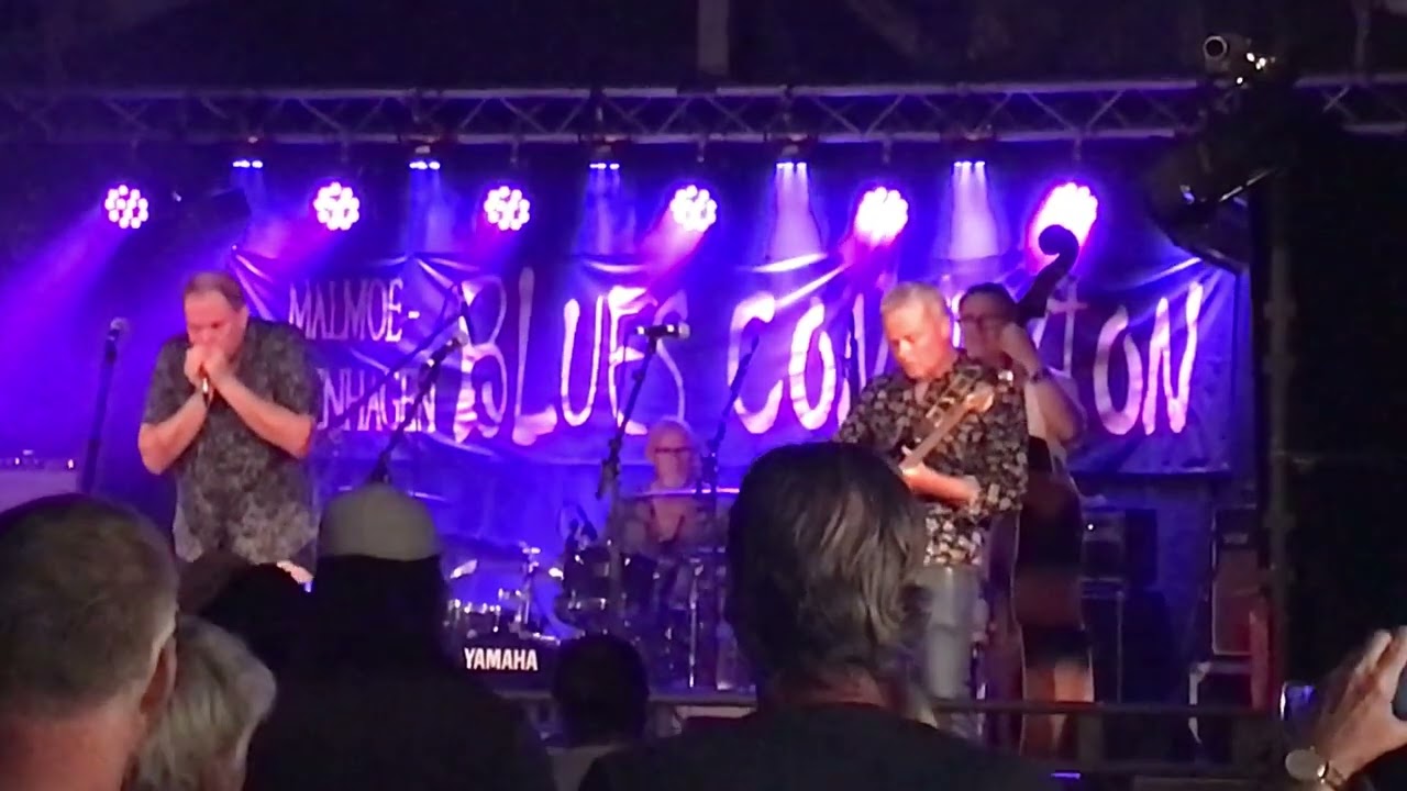 Chicagoblues by Mönsterås Blues band at Malmöfestivalen, Sweden, random piece of music