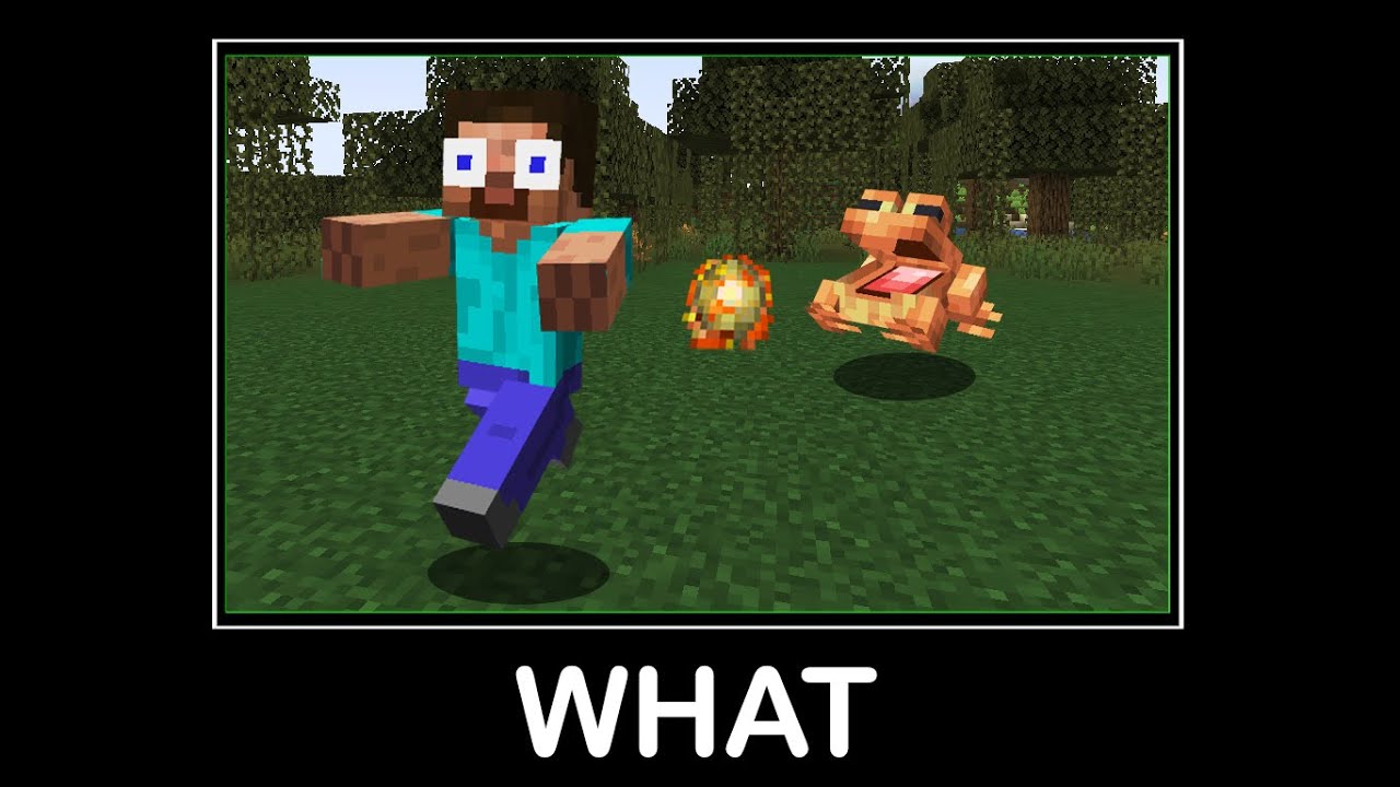 Wait What Minecraft Memes #28 - YouTube