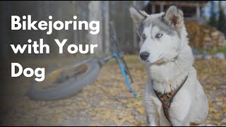 Bikejoring with Your Dog | The How To Video | Dog Training