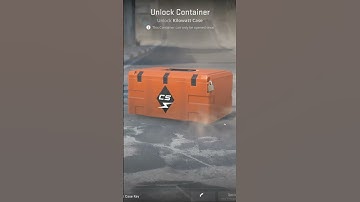 1 case a day until rarer than a knife | Day 16