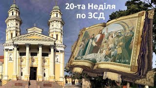 Пряма трансляція користувача Ужгородський греко-католицький Катедральний Собор
