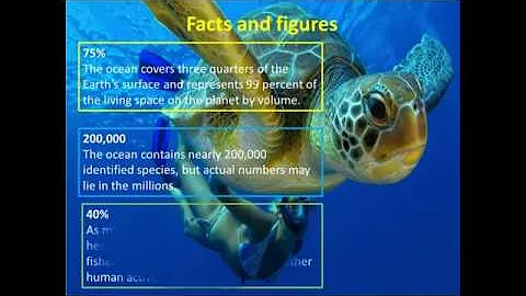 Easy Understanding of SDG 14. Life below Water